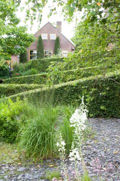 Over de helling loopt een lang slingerpad met haagbeuk erlangs; een eerbetoon aan de Vlaskamptuinen in de buurt.